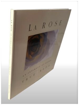 La Rose An Intimacy Of Roses