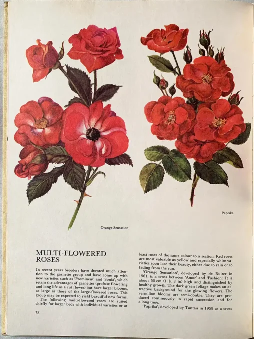The Hamlyn Book Of Garden Flowers