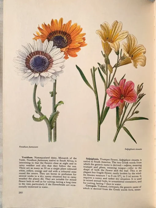 The Hamlyn Book Of Garden Flowers