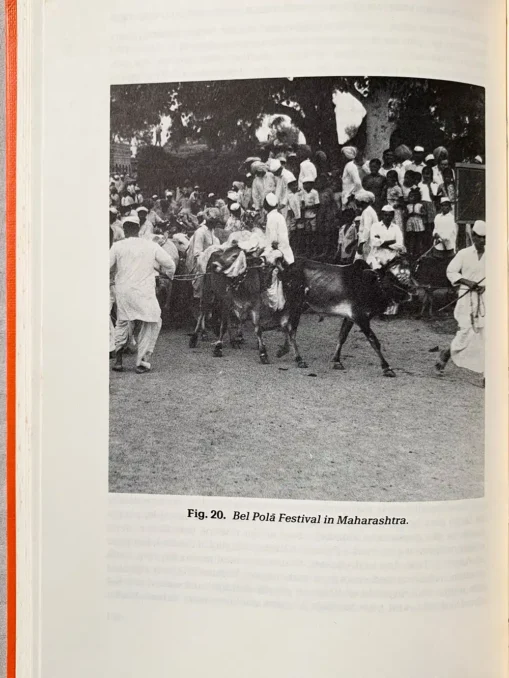 Sacred Cows, Sacred Places Origins And Survivals Of Animal Homes In India