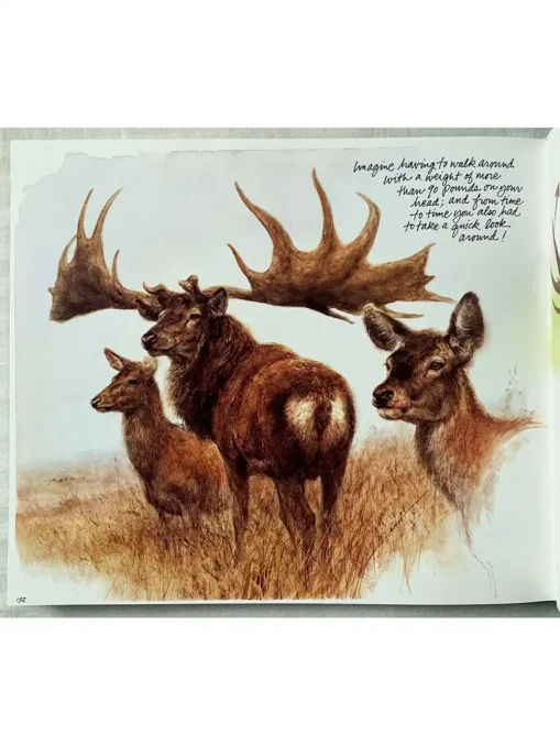 Journey To The Ice Age Mammoths And Other Animals Of The Wild