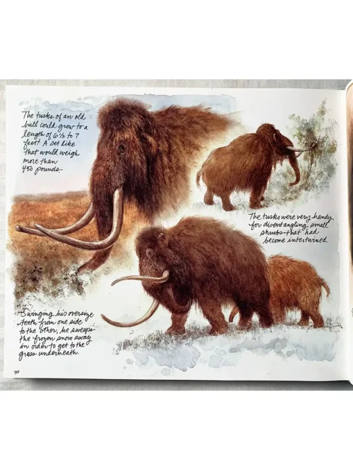 Journey To The Ice Age Mammoths And Other Animals Of The Wild