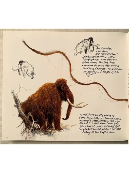 Journey To The Ice Age Mammoths And Other Animals Of The Wild