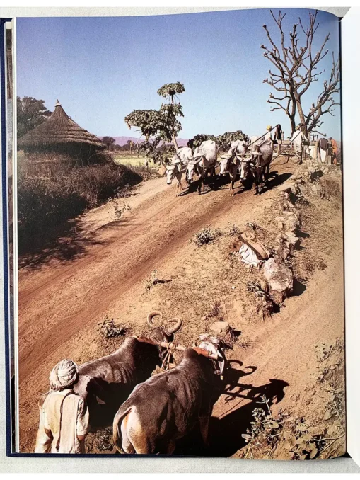 Rajasthan – Land Of Kings