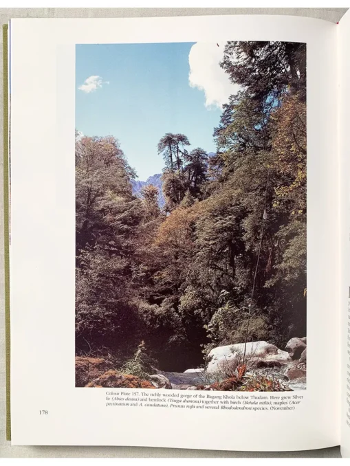 A Plantsman In Nepal