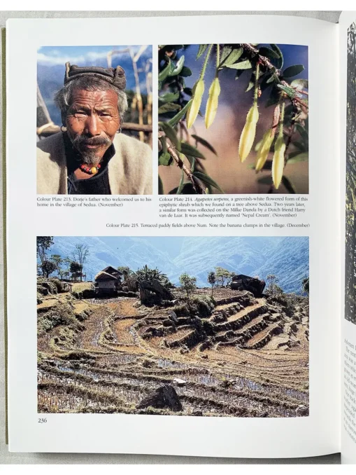 A Plantsman In Nepal