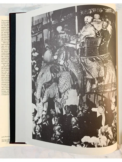 The Last Maharajas