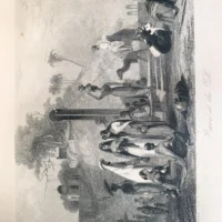 India Illustrated - Historical & Descriptive Account of That Important And Interesting Country