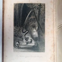 India Illustrated - Historical & Descriptive Account of That Important And Interesting Country