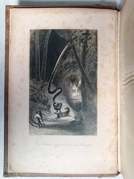 India Illustrated - Historical & Descriptive Account of That Important And Interesting Country