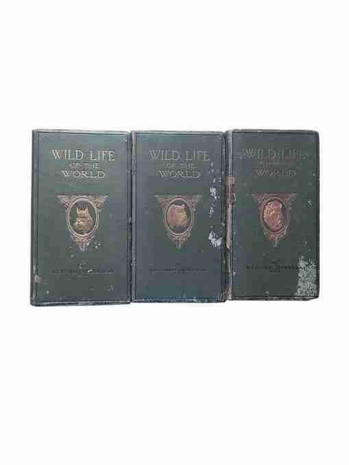 Wild Life of the World a descriptive survey of the Geographical Distribution of animals