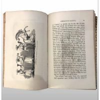 Narrative of A Journey Through The Upper Provinces Of India Set 1 - Image 9