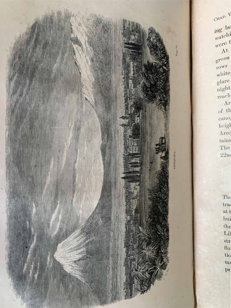 Travels in Peru and India, while superintending the collection…and their introduction in India.