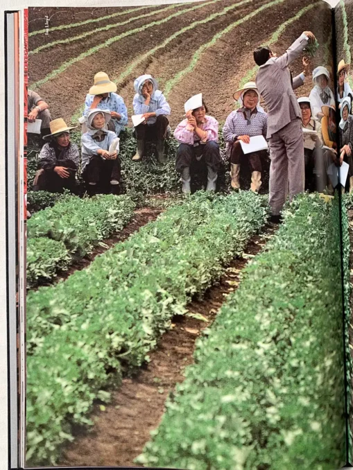 A day in the life of japan photographed by 100 of the world’s leading photo journalists on one day, june 7, 1985.