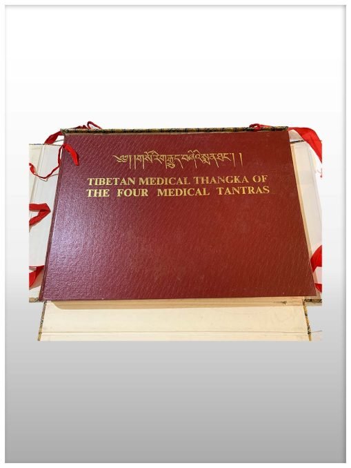 Tibetian Medical Thangka of the four Medical Tantras-604