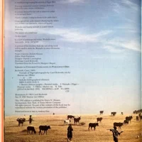 Nomads of Niger - Image 5