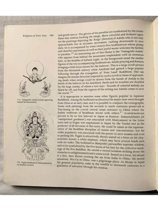 Iconography Of Religions An Introduction