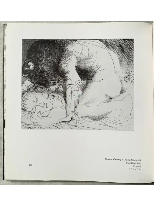 Picasso Inside The Image