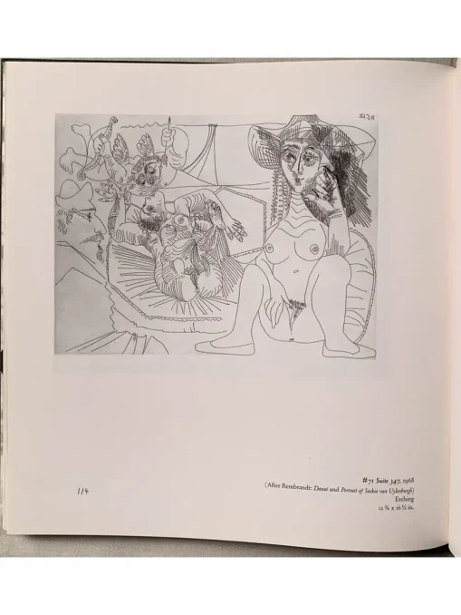 Picasso Inside The Image