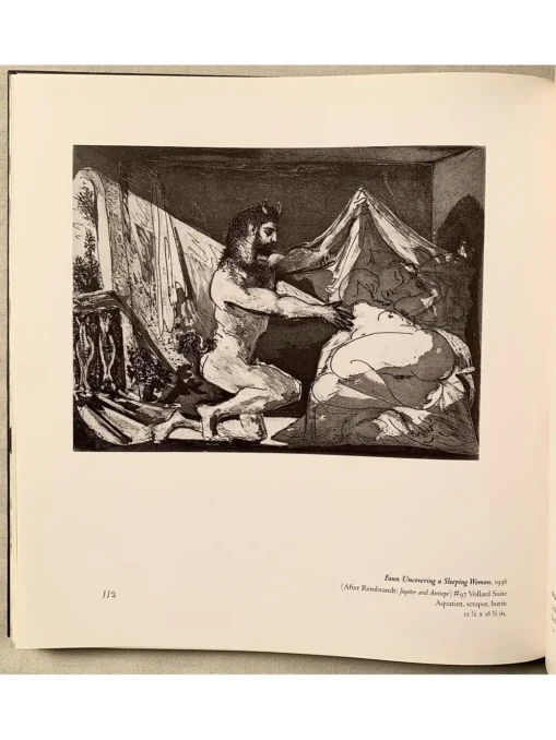 Picasso Inside The Image