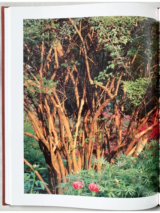 Expanded And Updated Winterthur The Foremost ..And Decorative Arts