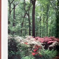 Expanded And Updated Winterthur The Foremost ..And Decorative Arts