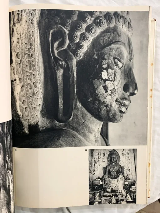 The Temples and Sculpture of Southeast Asia