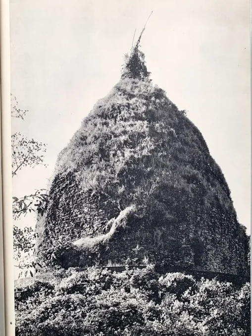 The Temples and Sculpture of Southeast Asia