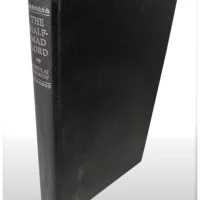 The Half-Mad Lord - Image 4