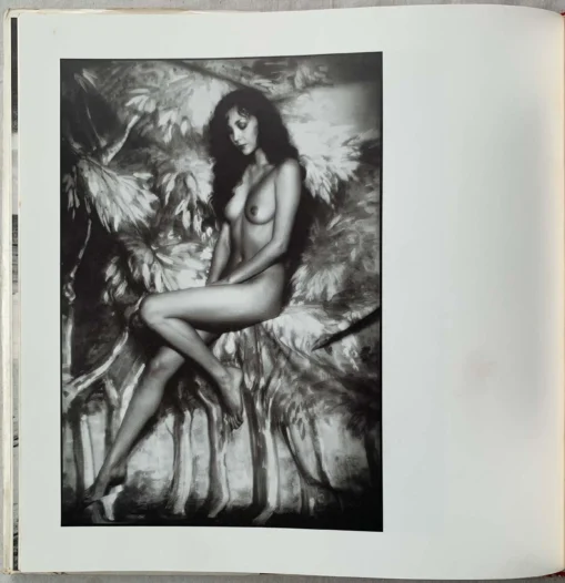 David Bailey's Trouble And Strife - Image 15