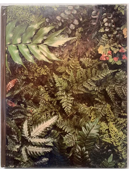 TIME LIFE Encylopedia of Gardening 28 Vol Set - Image 9