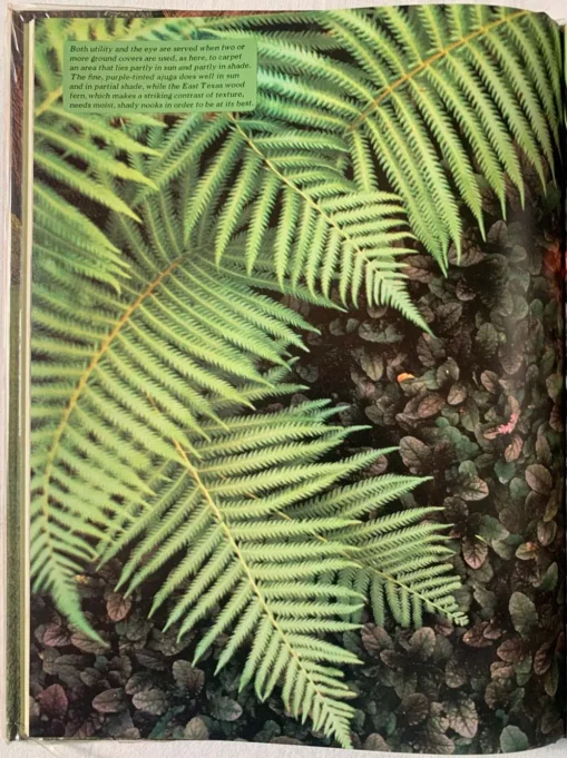 TIME LIFE Encylopedia of Gardening 28 Vol Set