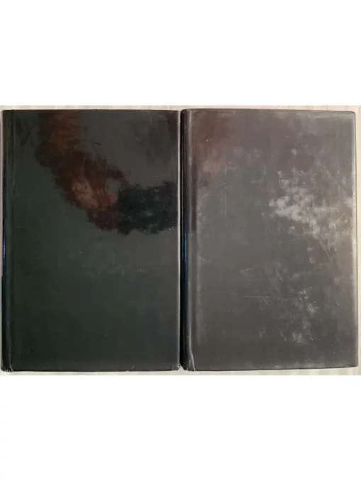 Coomaraswamy 2 Vol Set - Image 5