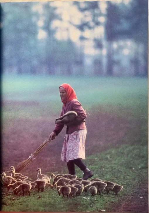 A Day In The Life Of The Soviet Union