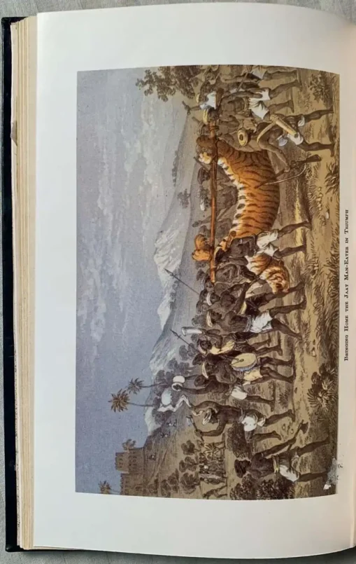 Tiger-shooting In India - Image 6