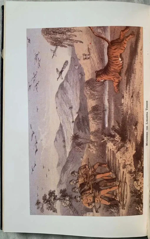 Tiger-shooting In India - Image 9