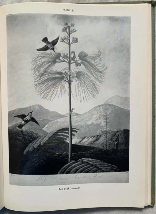 Catalogue of The Celebrated Library of Major J. R. Abbey 4 Vol Set - Image 16