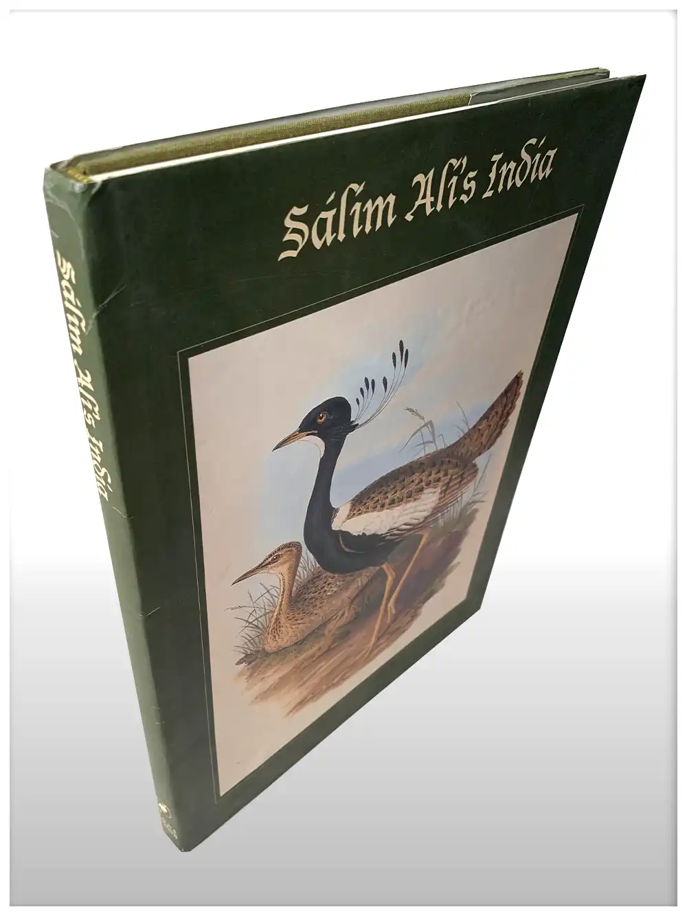Salim Ali’s India