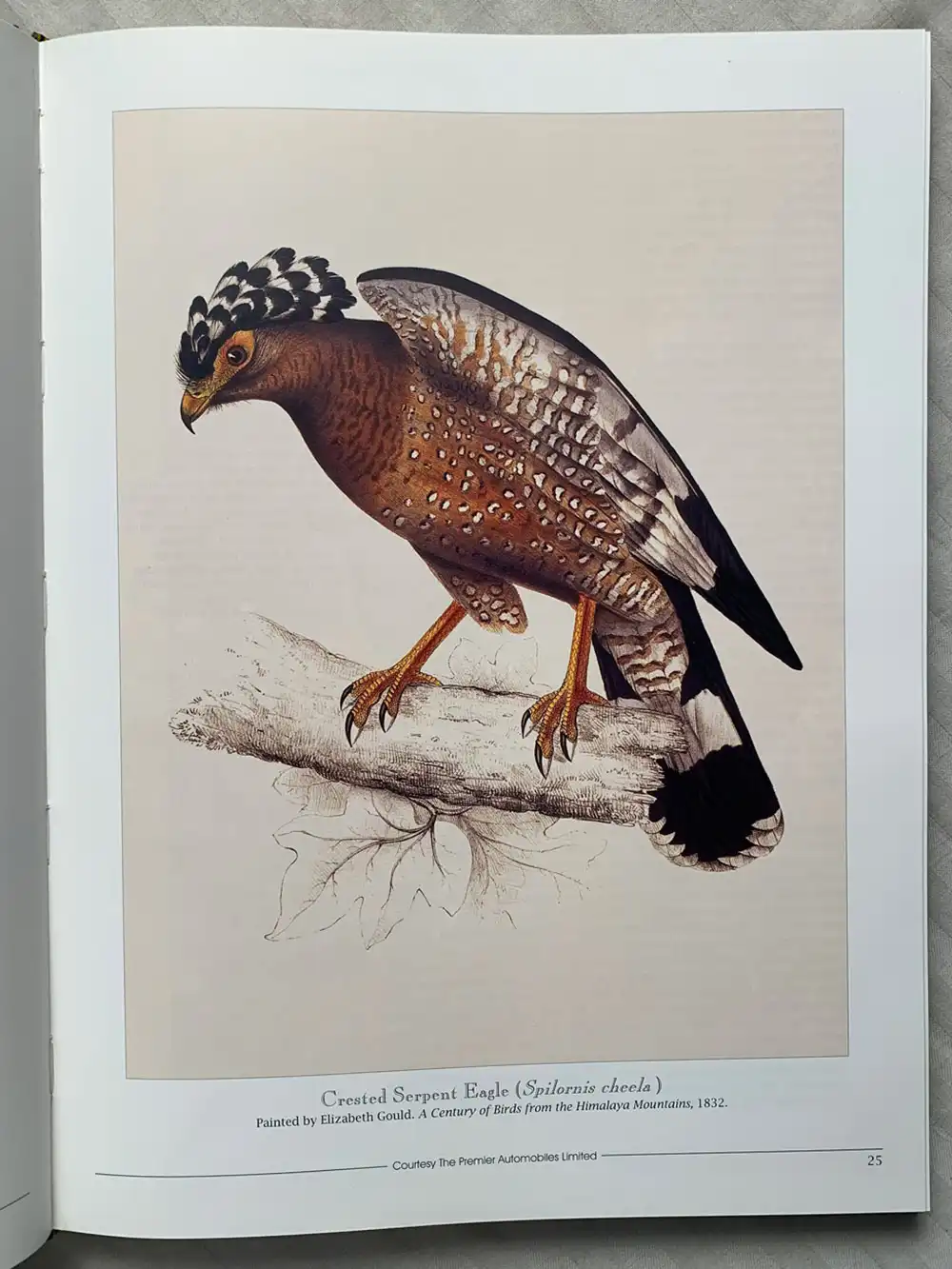 Salim Ali’s India - Image 7