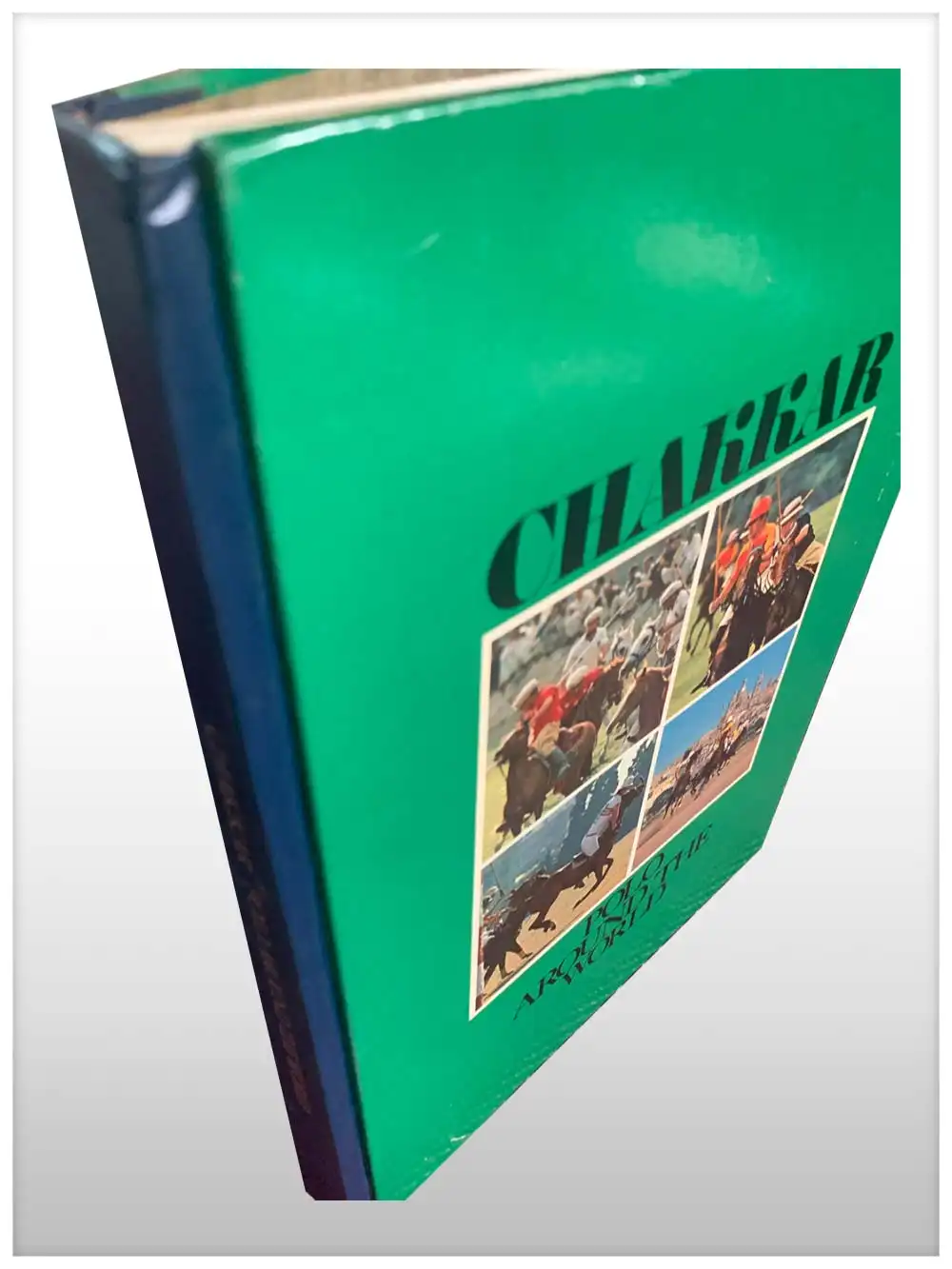 Chakkar Polo Around The World -3998