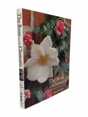 The Rose And The Clematis As Good Companions