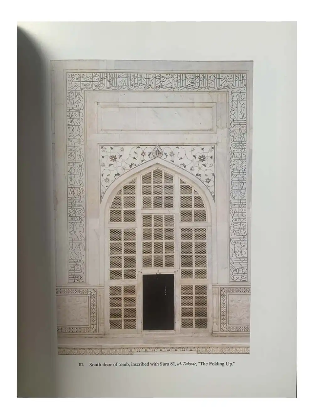 Taj Mahal The Illumined Tomb-3476