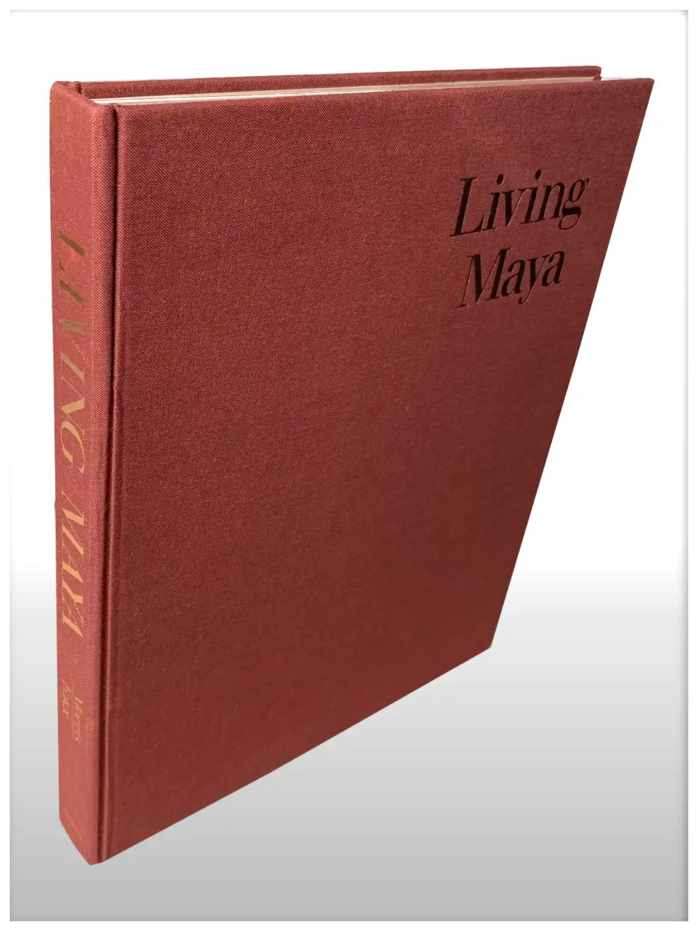 Living Maya-4161