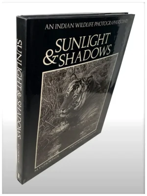 Sunlight And Shadows