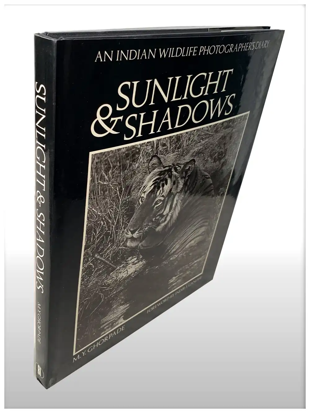 Sunlight And Shadows