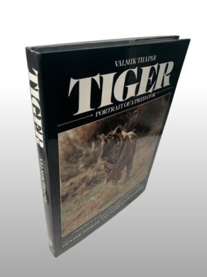 Tiger, Portrait Of A Predator